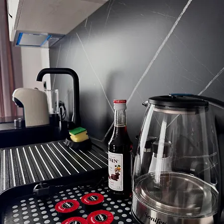 公寓 Anil Luxury *