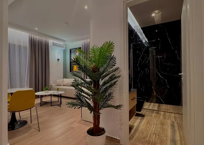 Apartment Anil Luxury *